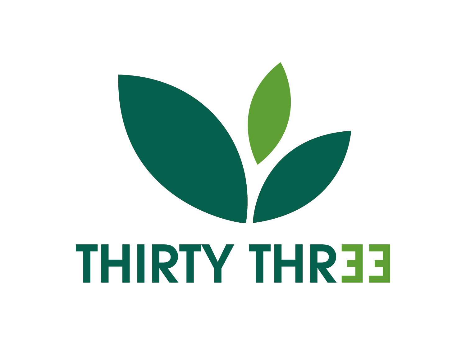 Thirty Three Apparels (Cambodia) Company Limited